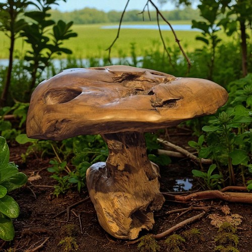 Kinaree teak root - kinaree,
