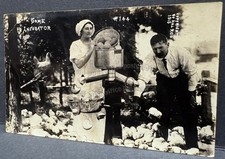 Hal Reid-Some Incubator-Eggs-Chickens c1915-Exaggeration RPPC Photo Postcard