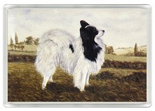 PAPILLON DOG FRIDGE MAGNET