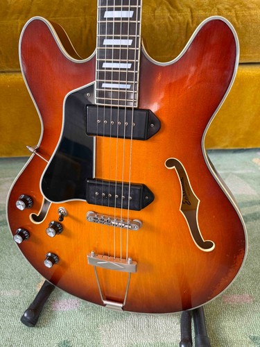 Eastman t64l electric - t64l/v-t,