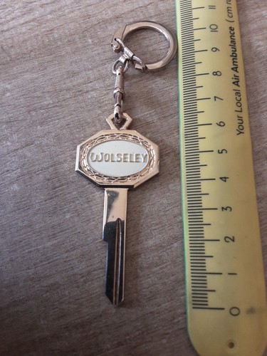 Wolseley vintage enamel car - enamel,