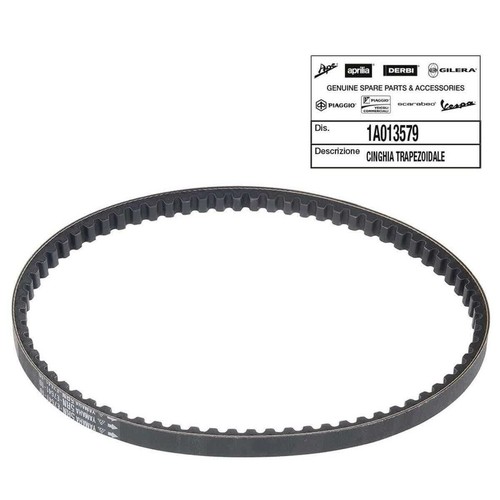 Timing belt piaggio typhoon - belt,