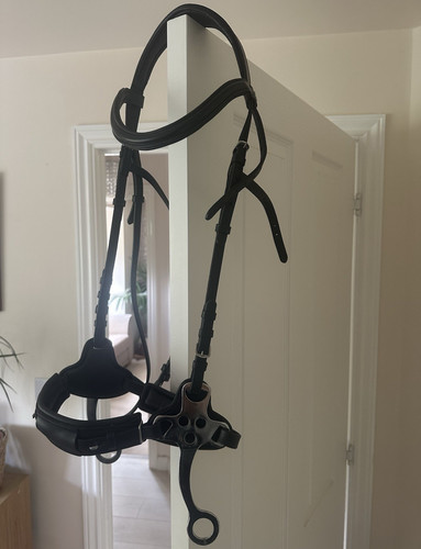 Hackamore bridle - hackamore,