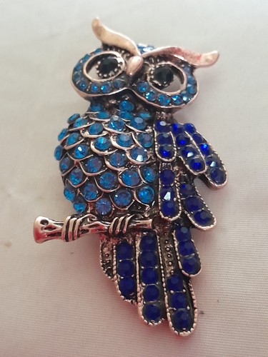 Owl lovers brooch - owl,