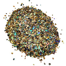 Paua Shell Pieces - Glitter-