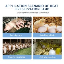 250W Poultry Heat Lamp with Bulb – Infrared, Ideal for Puppies, Kittens, Piglets