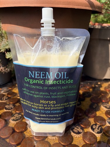 Neem oil plant - neem,