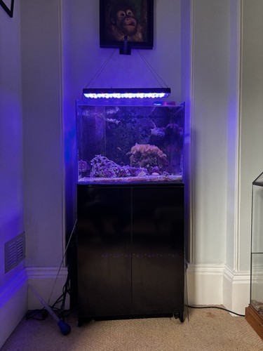 Marine 135l glass rectangle - 135l,