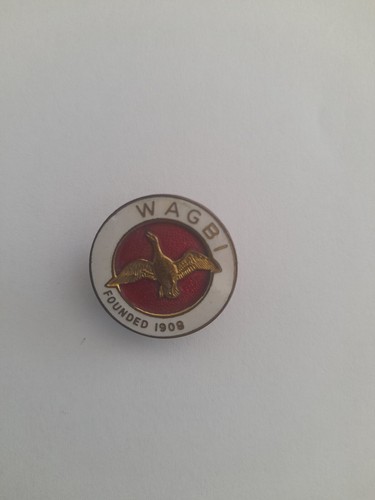 Wagbi lapel badge enamel in - wagbi,