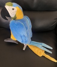 Blue Gold Macaw Parrot Soft