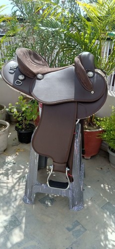 Australia style half - , breed