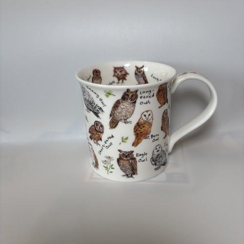 Dunoon owls kate - by, mawdsley
