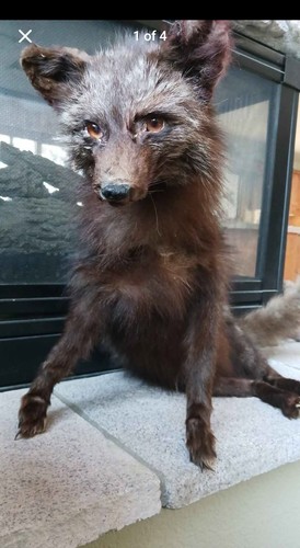 Fox soft mount posable - soft,