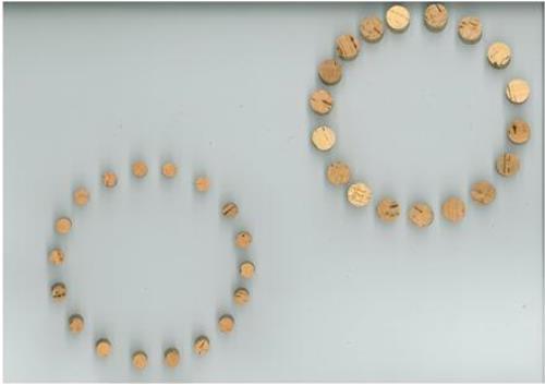 Clutch cork disc - 22, mm