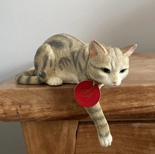 Country Artists Tabby Nosey