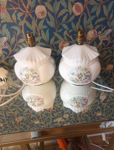 Pair aynsley wild - wild, tudor