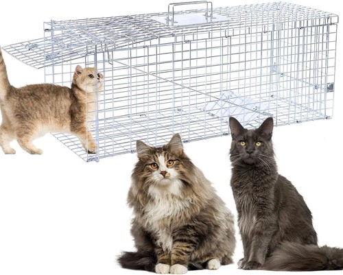 Extra large animal - animal, trap