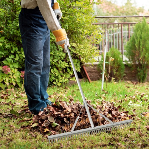 Landscape rake heavy duty - landscape, heavy-duty