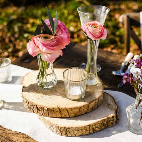 Wood log tree slices - tree,
