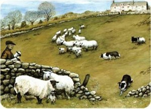 Sheep tuftop worktop - worktop, saver