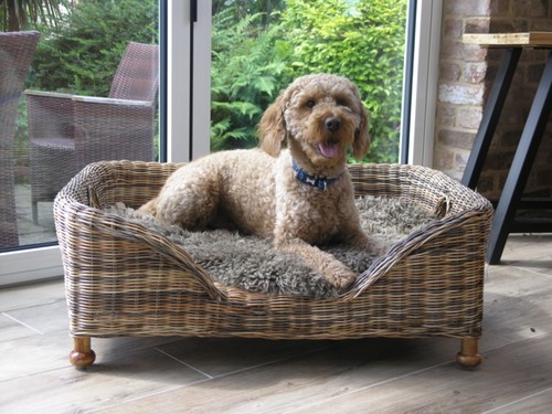 Large charles wicker dog bed - large,