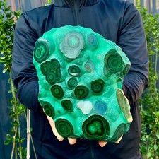 6.2LB Natural tortoise Malachite transparent cluster coarse mineral sample