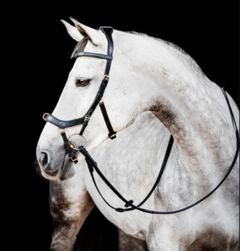 Horseware micklem - horseware, 2