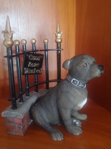 Staffordshire bull terrier - staffordshire,