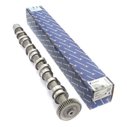 Camshaft outlet piston - outlet,