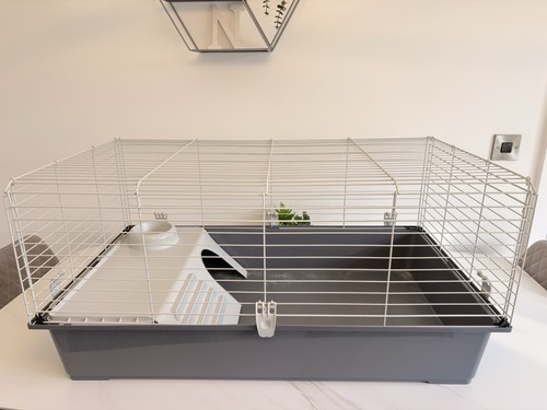 Indoor guinea pig cage hutch - guinea,