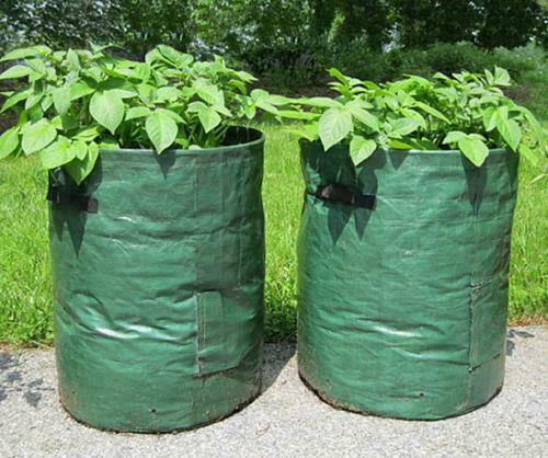Large potato grow bags - large,