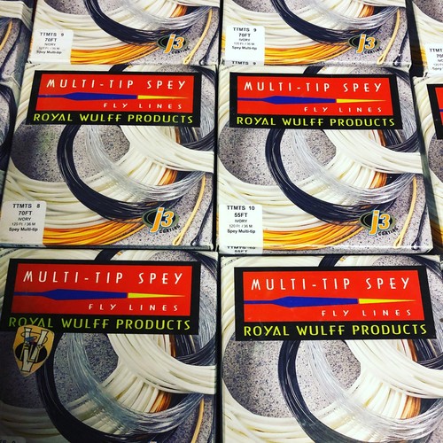 Special offer royal - special, wulff