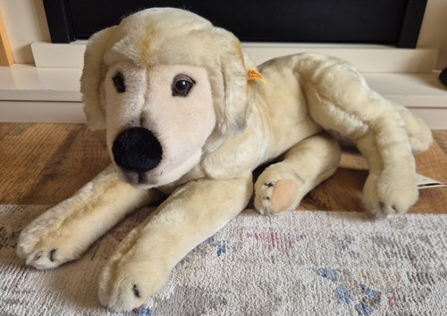 Steiff golden retriever with - golden,