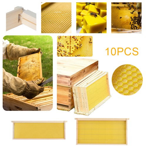 10pcs set assembled - 10pcs/set,