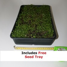 Mind your own business Babys