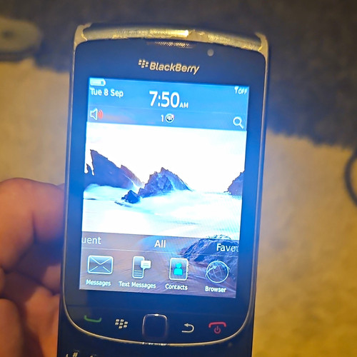 Blackberry slider - blackberry,