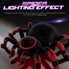 Remote Control Spider Toy