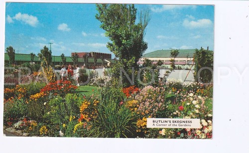 Postcard butlins skegness - butlins,