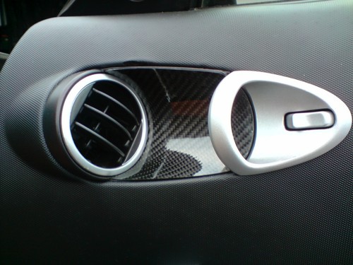 Real carbon inserts - real, door