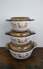Vintage Pyrex Autumn Casserole
