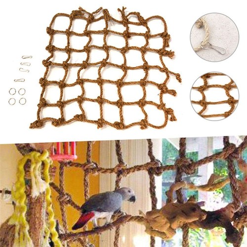 Birds climbing training rope - training,