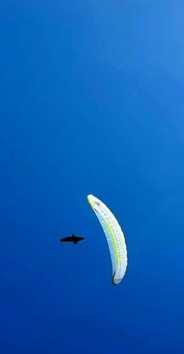 Paraglider airdesign volt - paraglider, 4