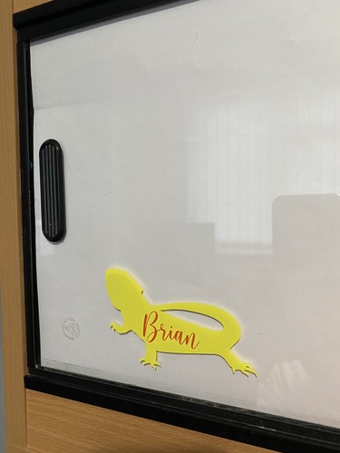 Personalised bearded dragon - bearded,