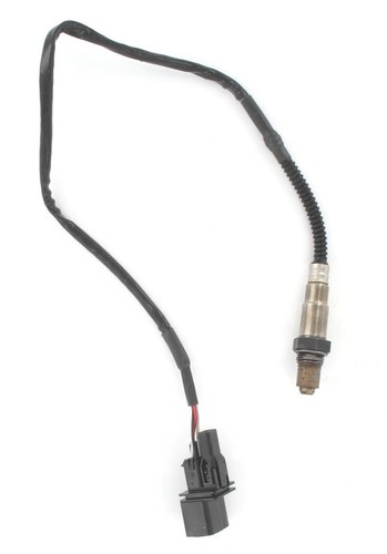 Intermotor oxygen sensor for - oxygen,
