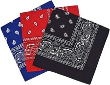 Pack Of 3 Cotton Paisley