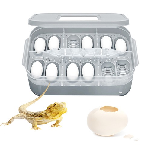 Grids professional reptile - professional,
