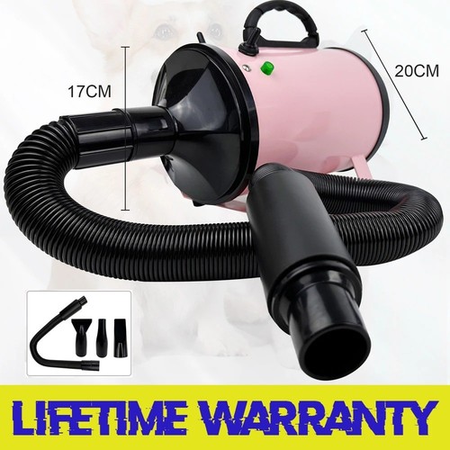 Dog hair dryer blower - dog,