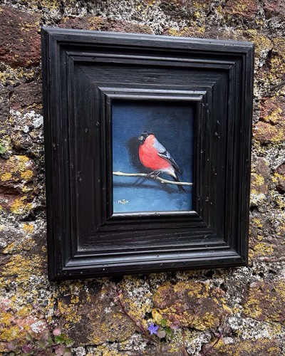 Bullfinch bird original - bullfinch, signed