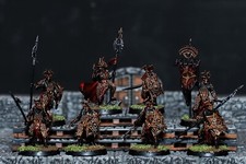 Harad & Rhun Pro Painted Army