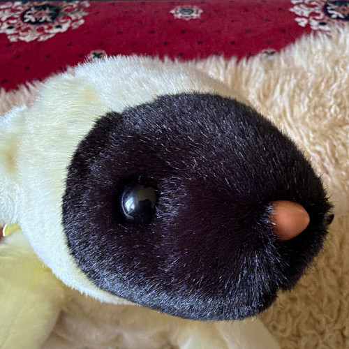 Beanie baby chops lamb - ty,